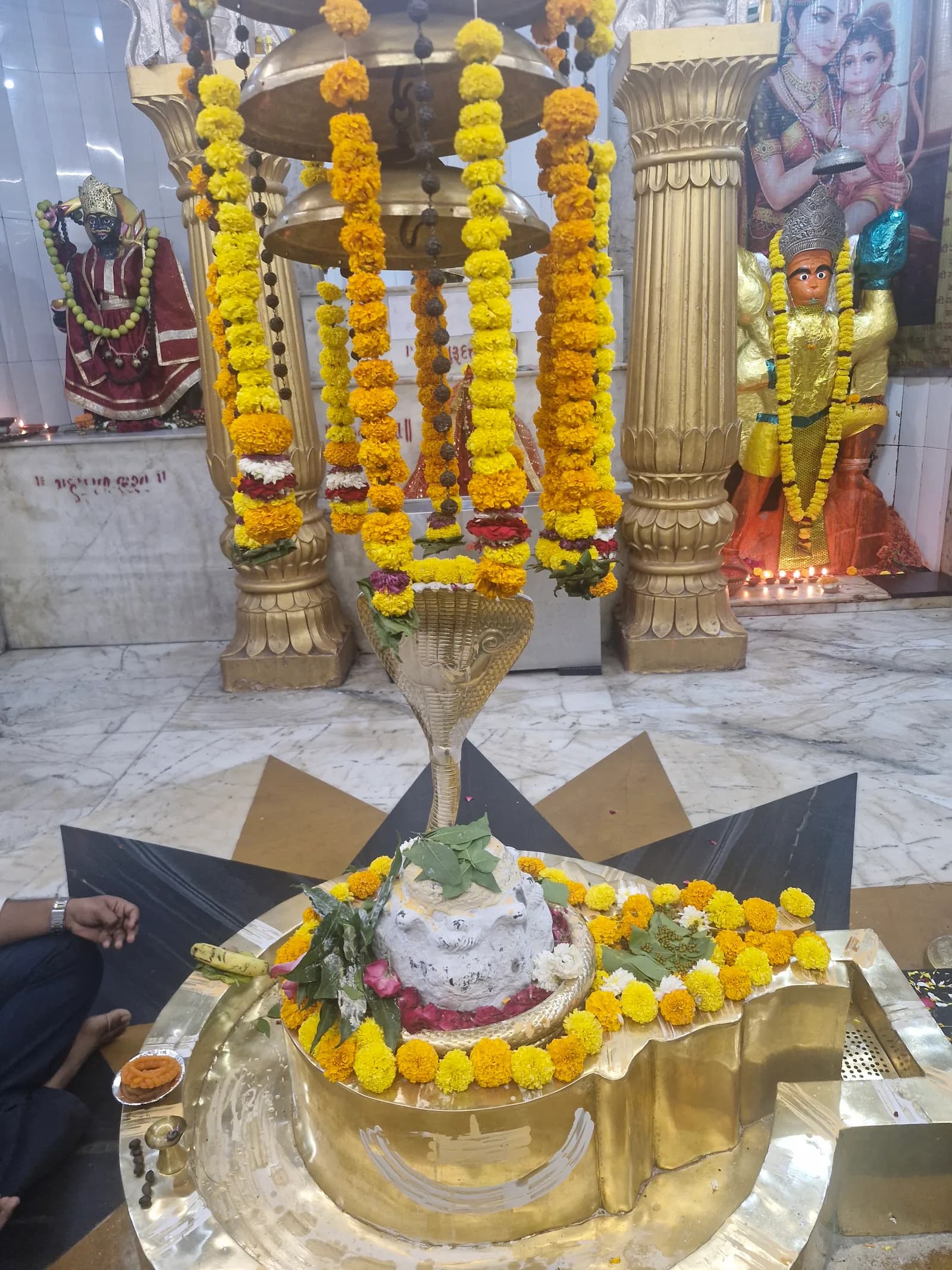 Today's Darshan