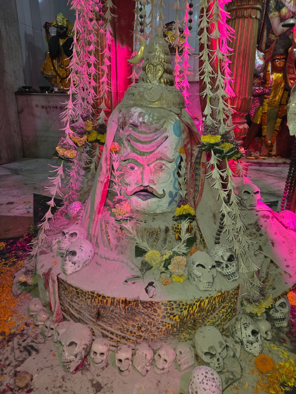 Mandir View